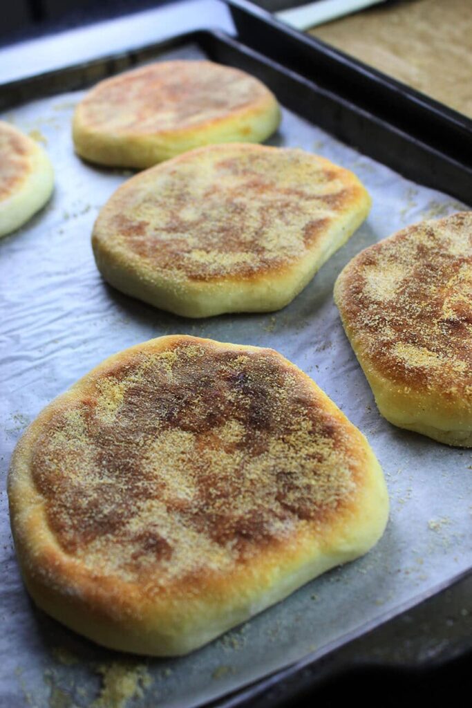 english muffins 
