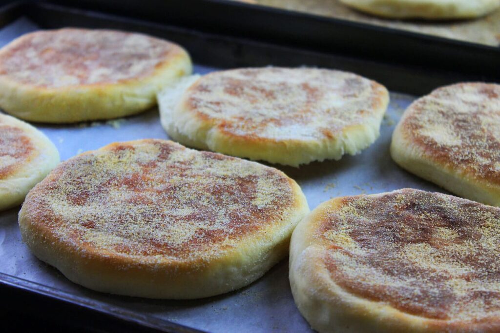 Homemade english muffins