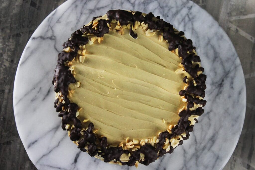 Vegan chocolate peanut butter cake