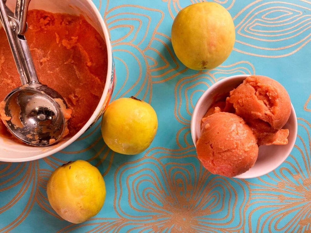 How to make a guava sorbet or sherbet
