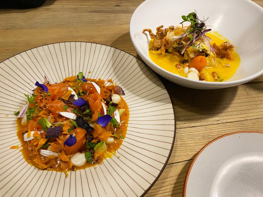Cebiche apaltado y tiradito de salmón y mango quispe