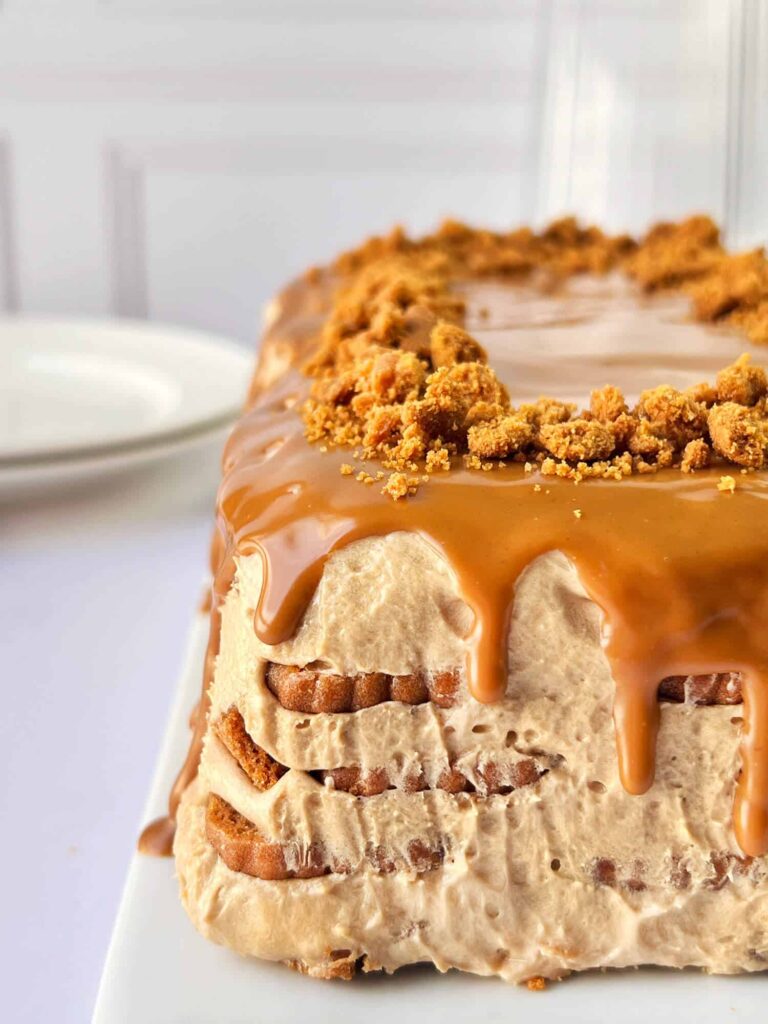 Easy lotus biscoff pudding