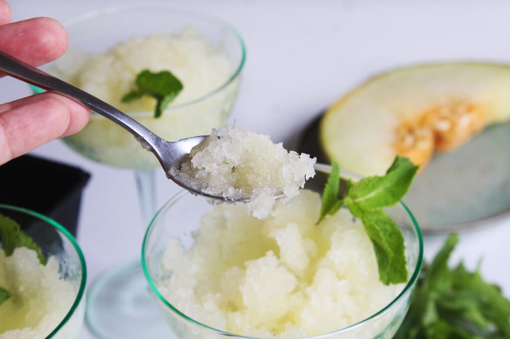 The best Melon sorbet
