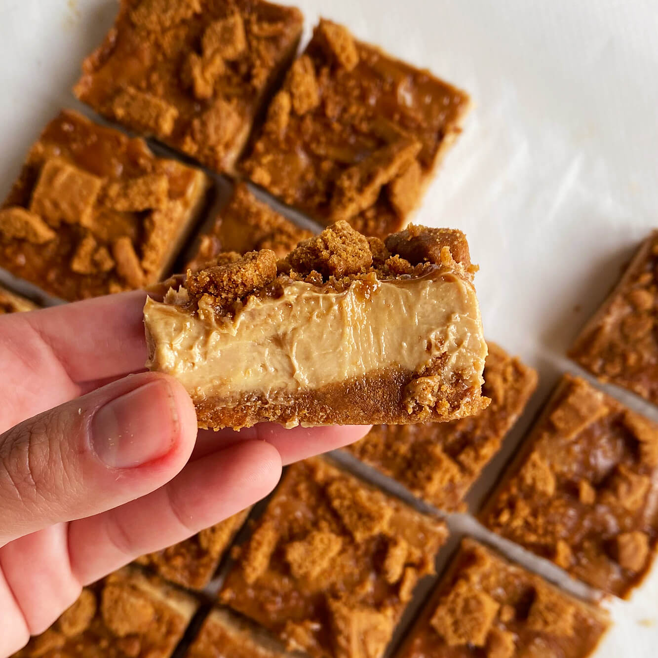 Photograph of the recipe for sweet creamy no bake biscoff cheesecake bars.