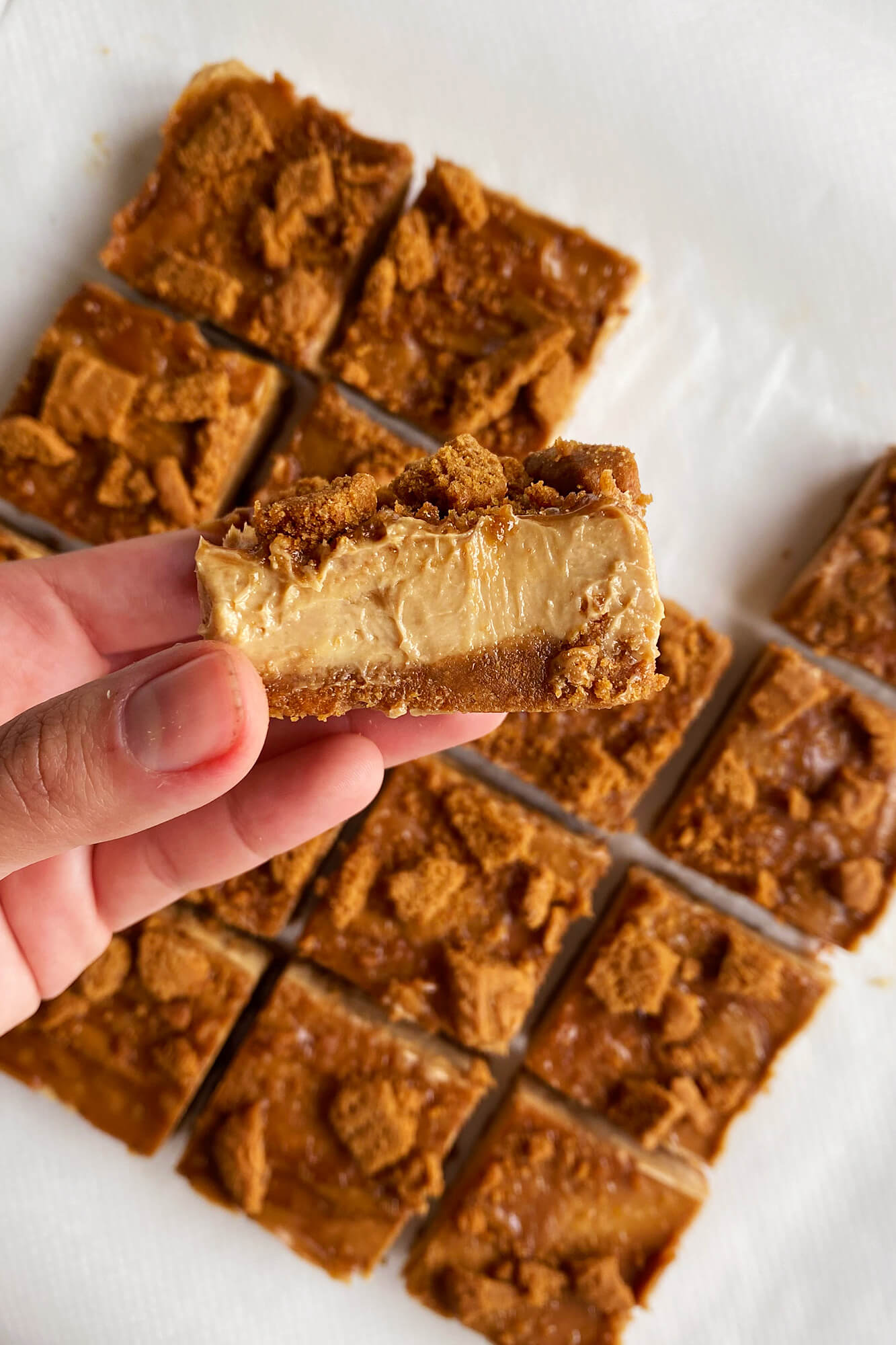 No bake Biscoff cheesecake bars