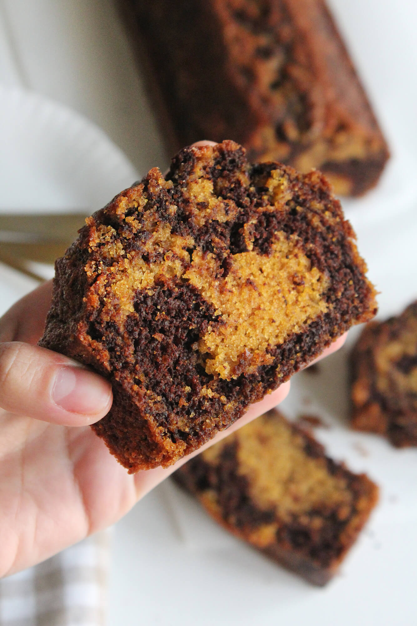 Panqué marmoleado de calabaza y chocolate