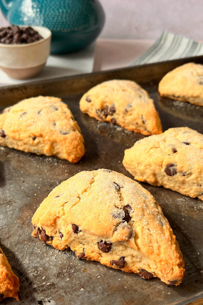 The best Chocolate chip scones